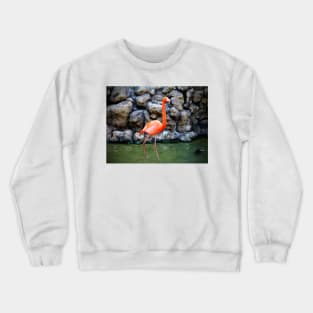 American Flamingo Crewneck Sweatshirt